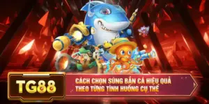 Cách Chọn Súng Bắn Cá Hiệu Quả Theo Từng Tình Huống Cụ Thể