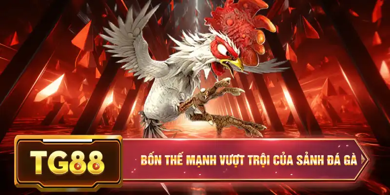 Bốn thế mạnh vượt trội của sảnh đá gà 